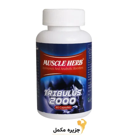 تریبولوس ماسل هرب  60 عدد | TRIBULUS MUSCLE HERB