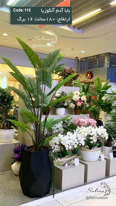 بابا آدم مصنوعی آلکوزیا 180سانت