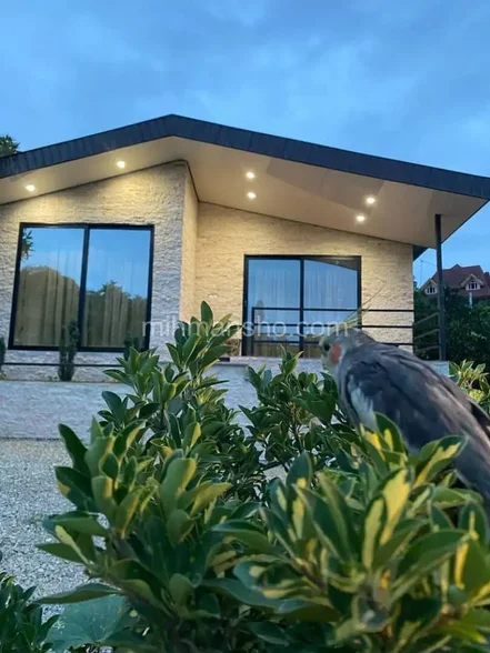 ویلا جنگلی تکخواب دنج در تنکابن